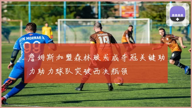 詹姆斯加盟森林狼或成夺冠关键助力助力球队突破西决瓶颈